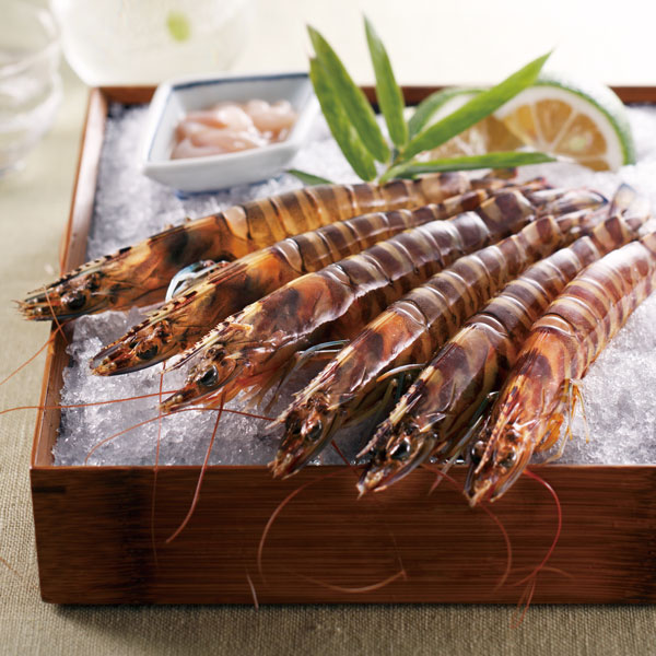 九州産 活車海老 養殖 K 450 ネットデパート トキハオンラインショップ