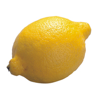 アメリカ・チリ産　レモン　1玉