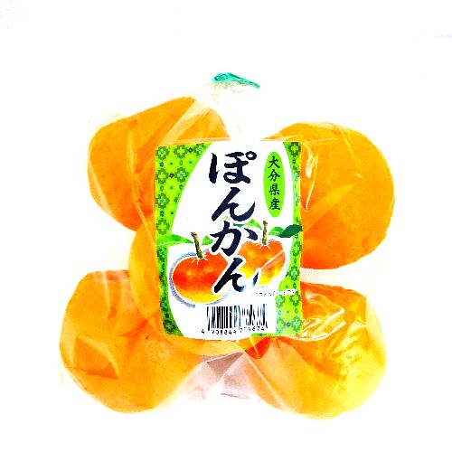 �啪���Y���@�ۂ񂩂�@�P��