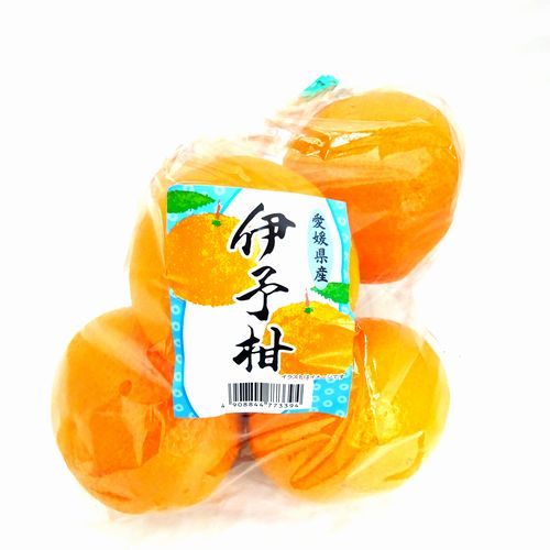 ���Q���Y�@�ɗ\���@�P��