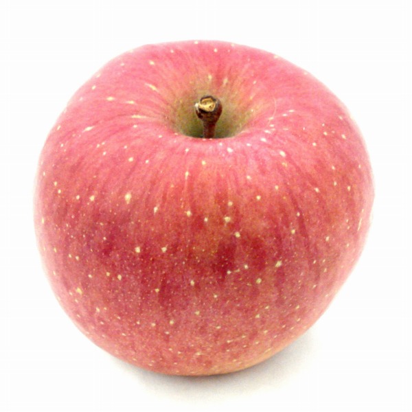 青森県産 ふじりんご 1玉