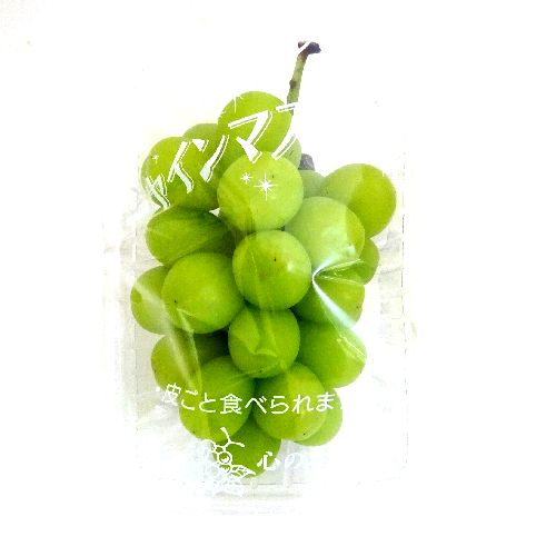 �������Y���@�V���C���}�X�J�b�g�@�P�p�b�N