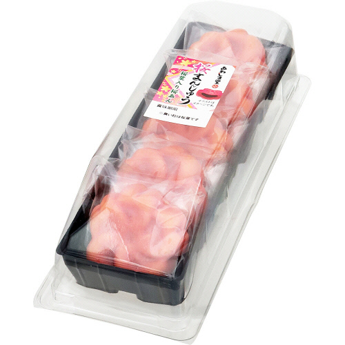 ���킵�ܓ��@���܂񂶂イ�@�T��