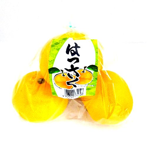 ��B�Y���@�͂������@�P��