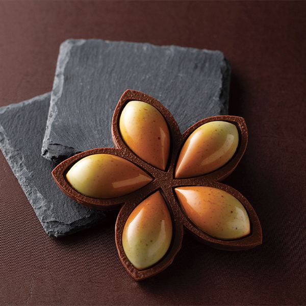 �s�g�D���r���� �o�C ���� �u���X�t �{���b�g �t���[�� �h �e�B�A��