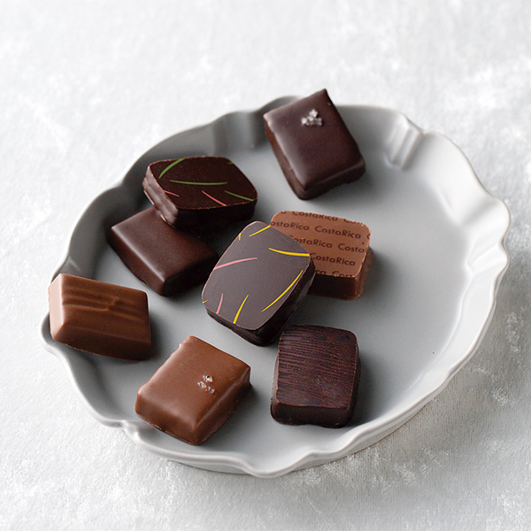 �s�Z���g�[�t �Z���g�\ �V���R���e�B�G�Z���N�V����(10����)