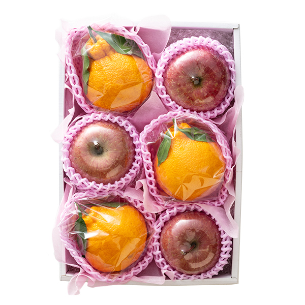 [��B��] �{�̉ʕ��M�t�g 1�� A �y���͂����ԁF12�����{�`1�����{�܂Łz