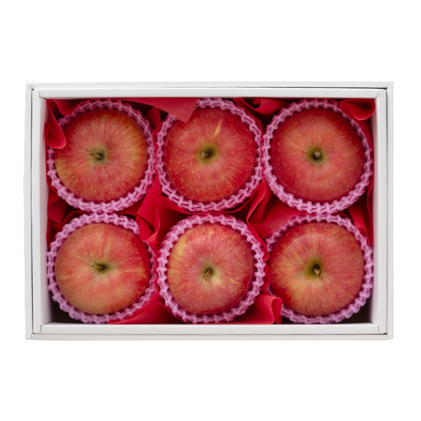 [��B��] �{�̉ʕ��M�t�g �T���ӂ��y���͂����ԁF12�����{�`1�����{�z