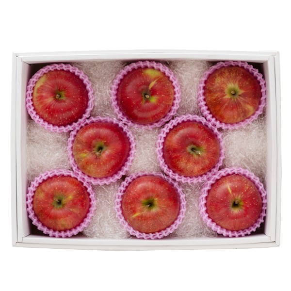 [��B��] �{�̉ʕ��M�t�g �T���ӂ��y���͂����ԁF12�����{�`1�����{�܂Łz