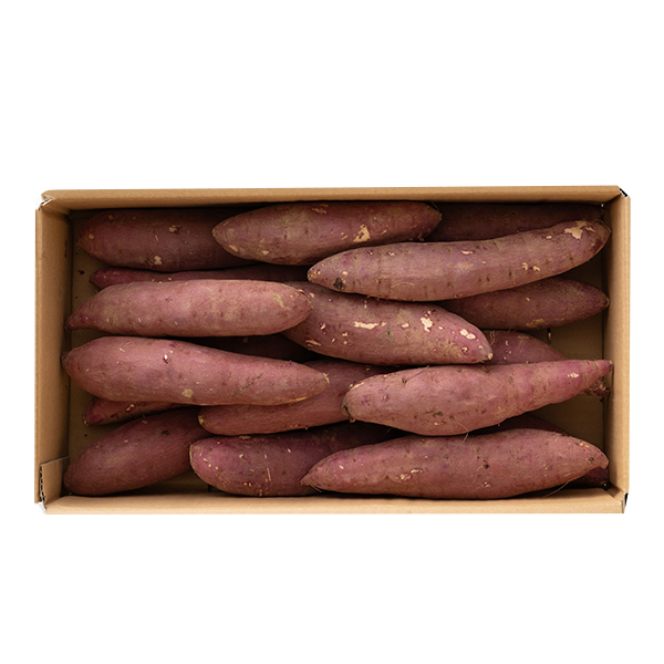 [��B��] �{�̉ʕ��M�t�g �Ñ�����y���͂����ԁF3�����{�܂Łz