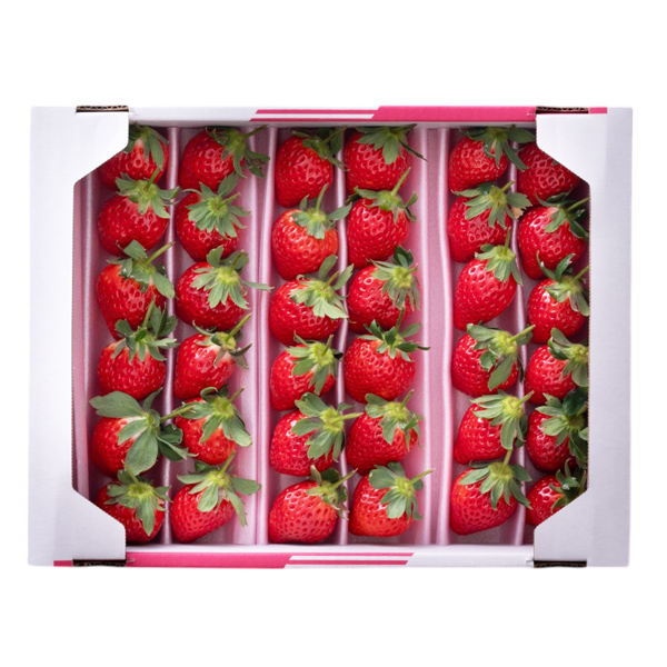 [���c�t���[�c] ��ӂ��Ƃ� (30�`36����)