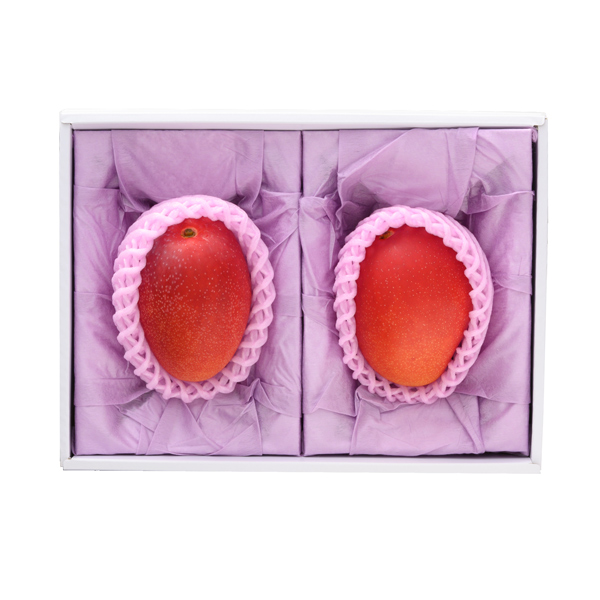 [��B��] �{��Y ���n�}���S�[ 2L  (2�ʓ�)