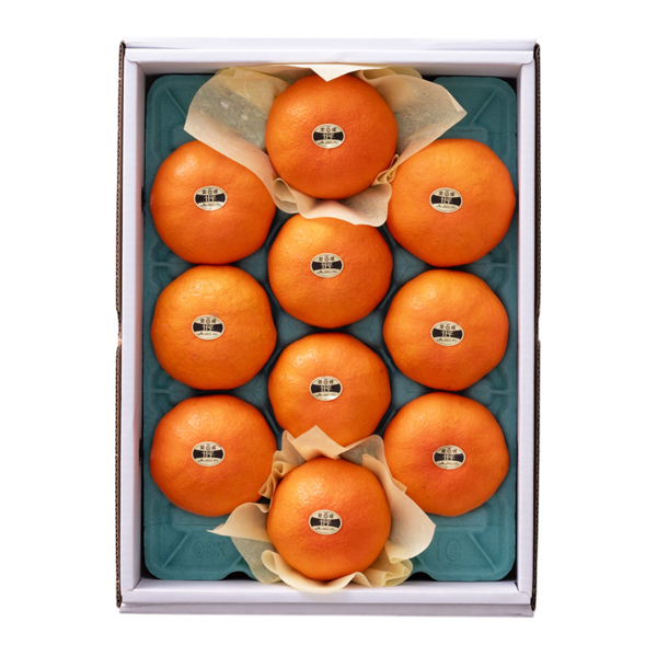 [���c�t���[�c] �Õ� ���Q���Y