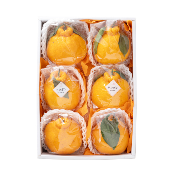 [��B��] �{�̉ʕ��M�t�g �f�R�|��  (1��)�y���͂����ԁF12����{�`1�����{�z