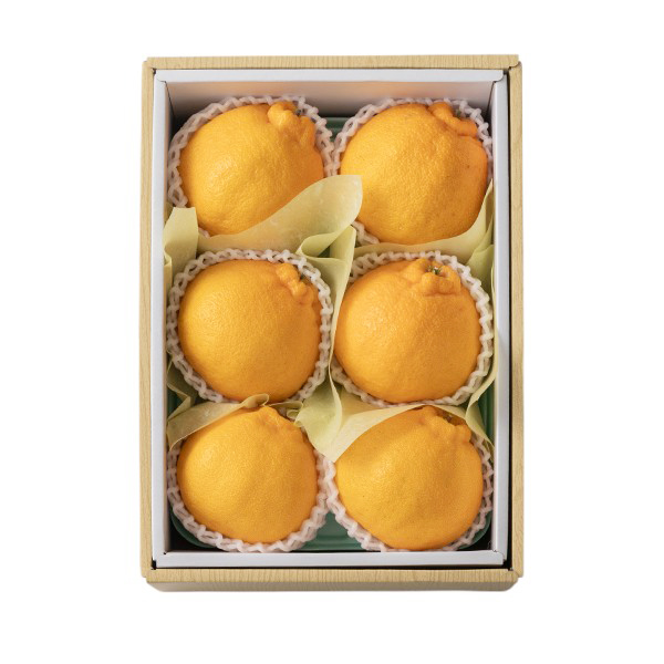 [���c�t���[�c] �f�R�|���y���͂����ԁF1����{�`�z