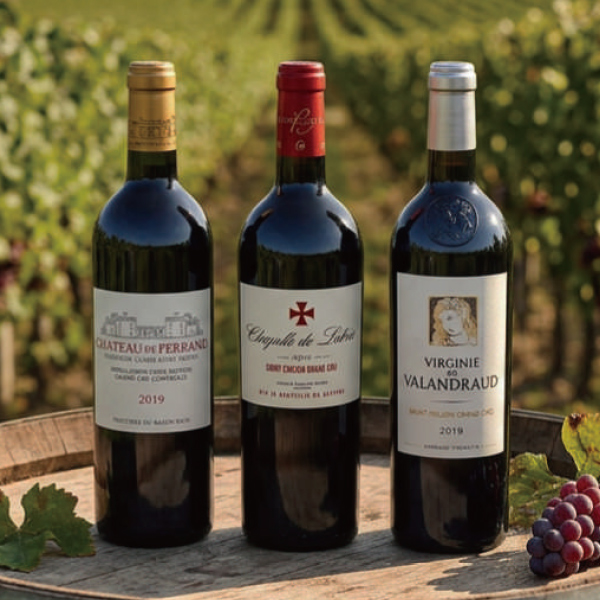 [���C���V���b�v�j�R��] �����̃{���h�[�E�T�� �e�~���I�� �ԃ��C��3�{�Z�b�g