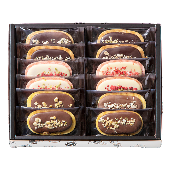 [�{���V���y���[] �V���R�������O(12����)