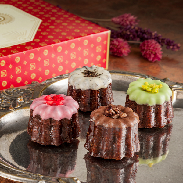 [�� ���W�F �G�M���X�L���[��] �J�k���E�h�E�V���R��(8��)�y���͂����ԁF4�����{�܂Łz