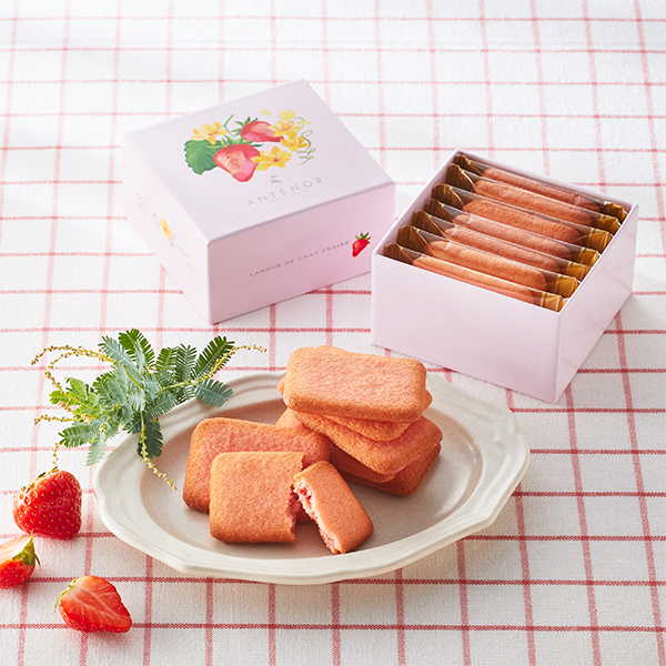 [�A���e�m�[��] 䕂̃����O�h�V����V���R��(7��)