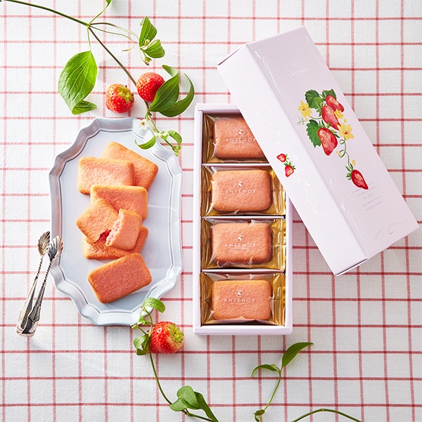 [�A���e�m�[��] 䕂̃����O�h�V����V���R��(16��)