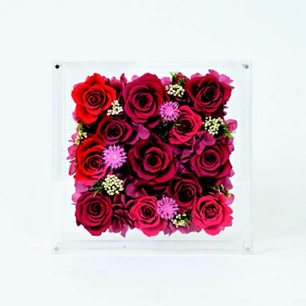 [�p���t���[��] �v���U�[�u�h�t�����[ [380]