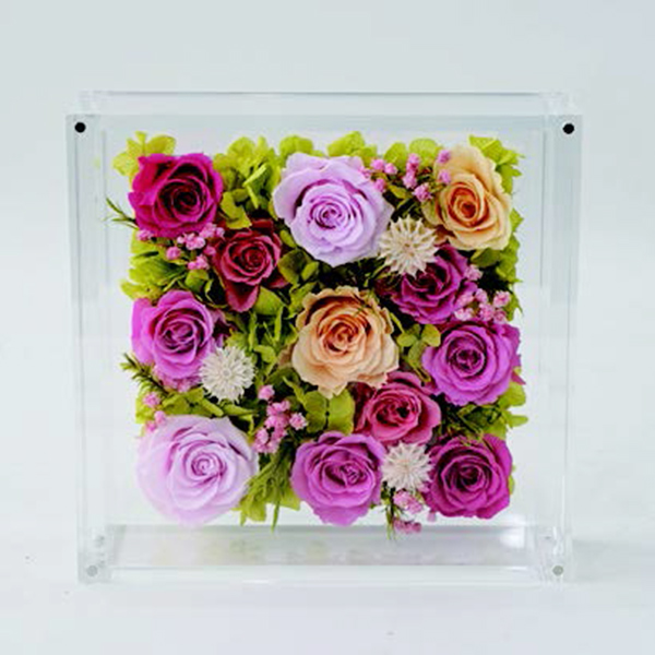 [�p���t���[��] �v���U�[�u�h�t�����[ [381]