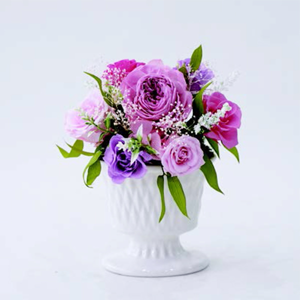 [�p���t���[��] �v���U�[�u�h�t�����[ [382]