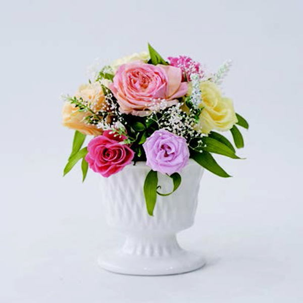 [�p���t���[��] �v���U�[�u�h�t�����[ [383]