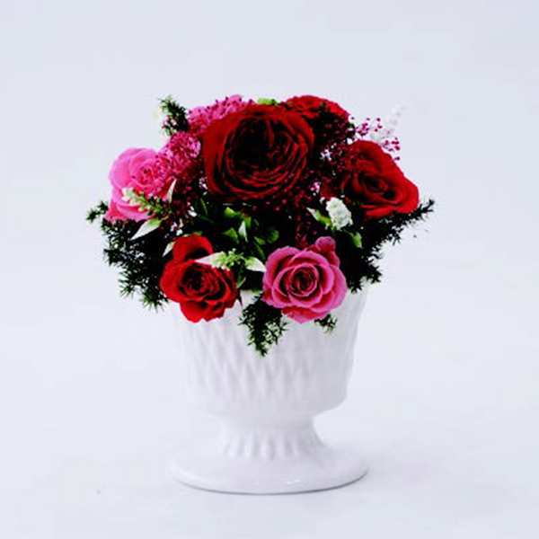 [�p���t���[��] �v���U�[�u�h�t�����[ [384]