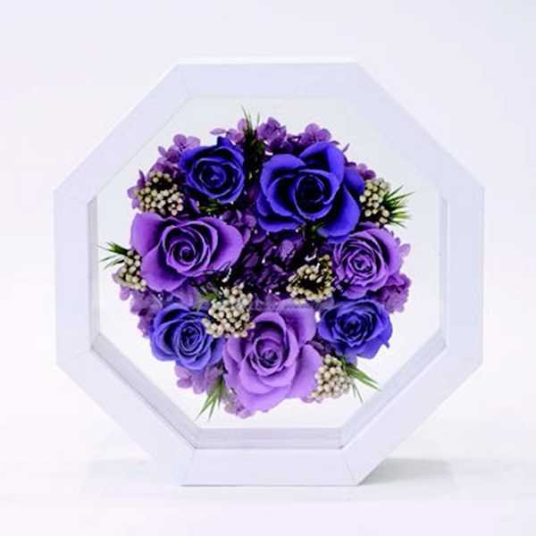 [�p���t���[��] �v���U�[�u�h�t�����[ [369]