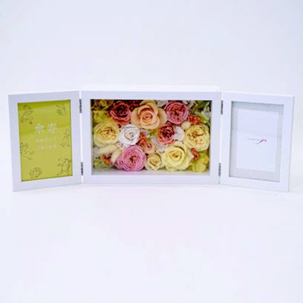 [�p���t���[��] �v���U�[�u�h�t�����[ �t�H�g�t���[�� [371]