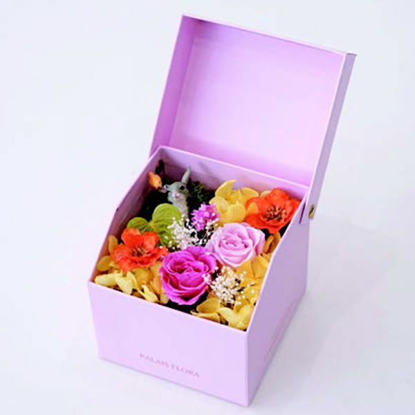 [�p���t���[��] �v���U�[�u�h�t�����[ �M�t�gBOX [364]