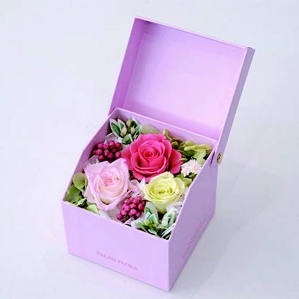 [�p���t���[��] �v���U�[�u�h�t�����[ �M�t�gBOX [365]