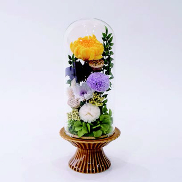 [�p���t���[��] �v���U�[�u�h�t�����[ �K���X�h�[�� [363]