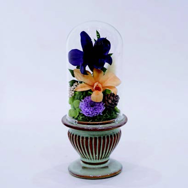 [�p���t���[��] �v���U�[�u�h�t�����[ �K���X�h�[�� [366]