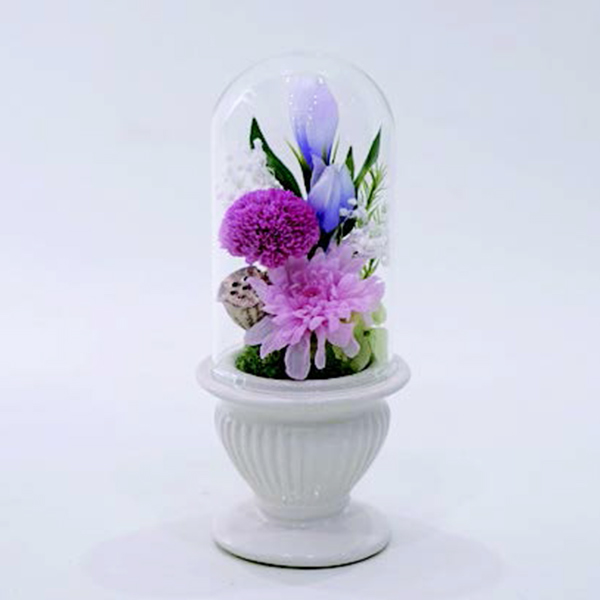 [�p���t���[��] �v���U�[�u�h�t�����[ �K���X�h�[�� [367]