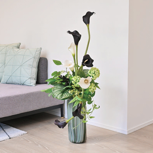 [�p���t���[��] �J���[�����[ �A�����W�����g [50]