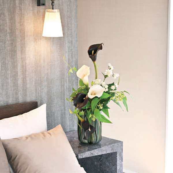 [�p���t���[��] �J���[�����[ �A�����W�����g [51]