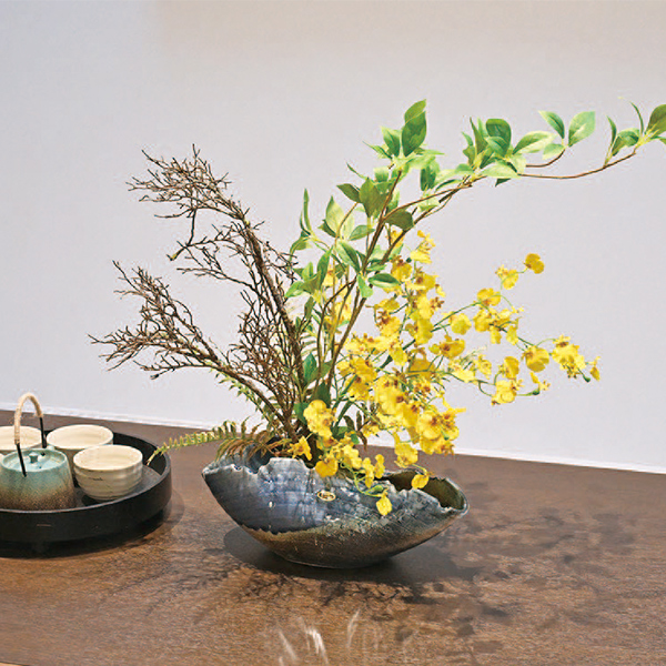 [�p���t���[��] �M�y�� �A�����W�����g [10]