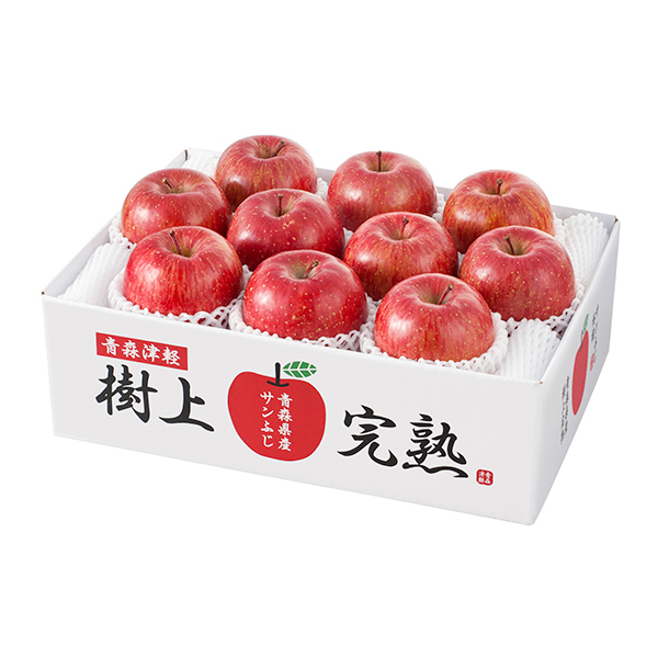 青森県産 樹上完熟サンふじりんご(H-A8S)【お届け期間:11月下旬〜12月中旬】