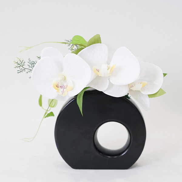 [�p���t���[��] �t�@���m�v�V�X(42H)