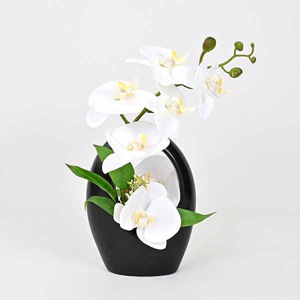 [�p���t���[��] �Ӓ���(09)