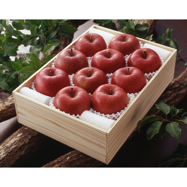 MBܖY uv10ʁyؔz (W-17)y͂ԁF11`z	