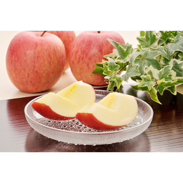 쌧EkMZ Tӂ(G) (DSF-30W)y͂ԁF11{`z