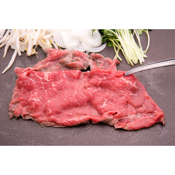 F{YʋĂpԐg (AHGMS-10045N)