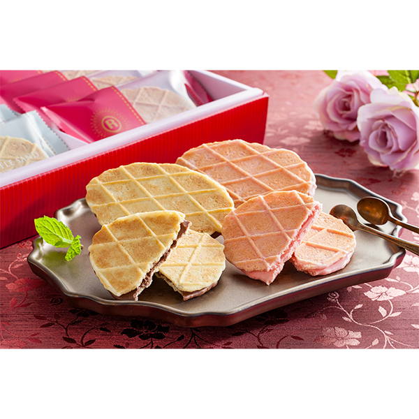 �y�o�����^�C����p�z ������� �� ���W�F �G�M���X�L���[�� �`���R���[�g���b�t���T���h(YJ-CW)