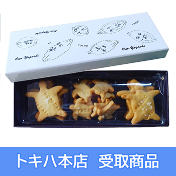 【10月9日(月)本店受取】 [Ono-Yogashi(オノヨーガシ)] 親子海がめ塩クッキーBOX