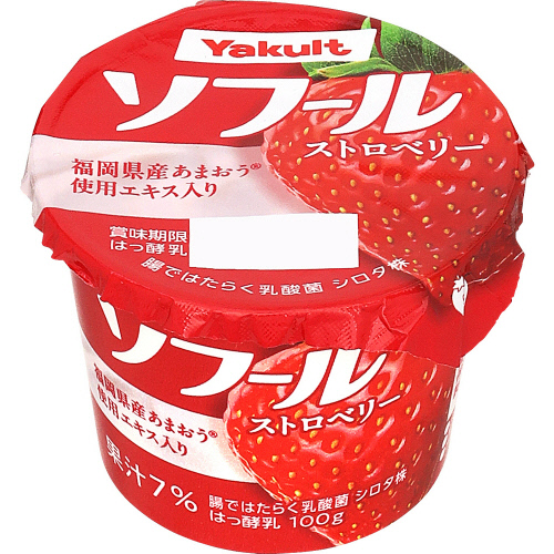 ���N���g�@�\�t�[���@�X�g���x���[�@�P�O�O��