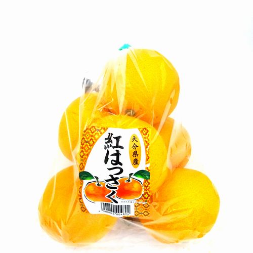 �啪���Y�@�g�͂������@�P��