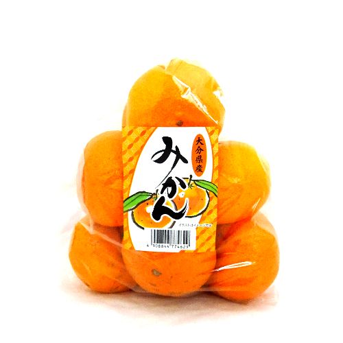 啪Y@݂@P